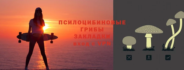 первитин Осинники