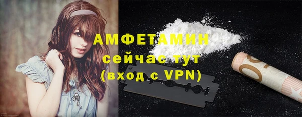 шишки Абаза