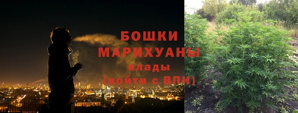 первитин Осинники
